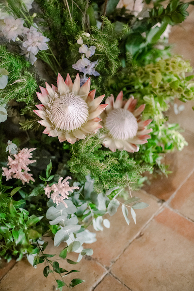 Pink protea king for wedding