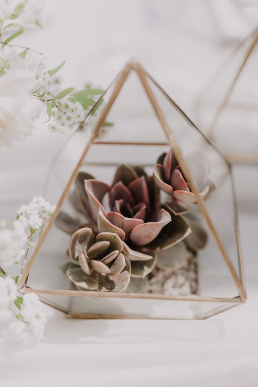 Terrario in vetro e profili oro con pianta succulenta