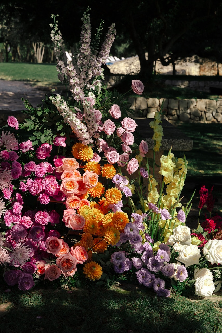 spontaneous growths full of color block flowers