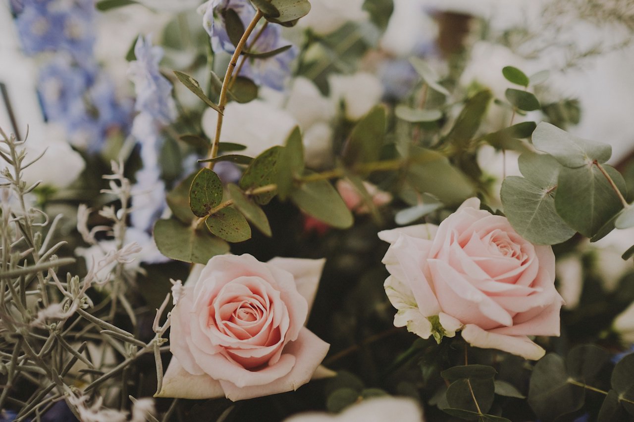 rose rosa e fiori celeste polvere