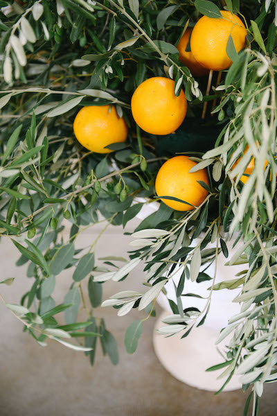 composizione arance e ulivo